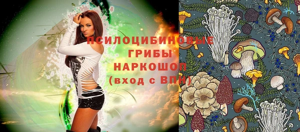 ешки Каменка