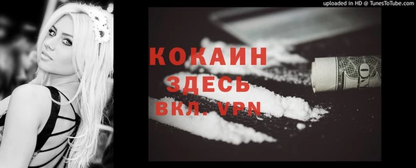 ешки Каменка