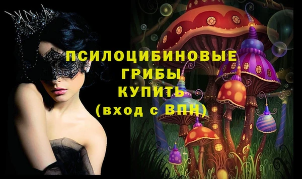 эйфоретик Каменногорск